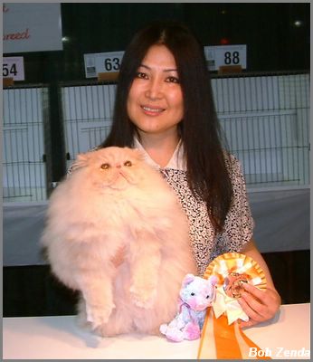Kitty Charm Vanila Sky of Lox-Nott